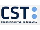 cst-1
